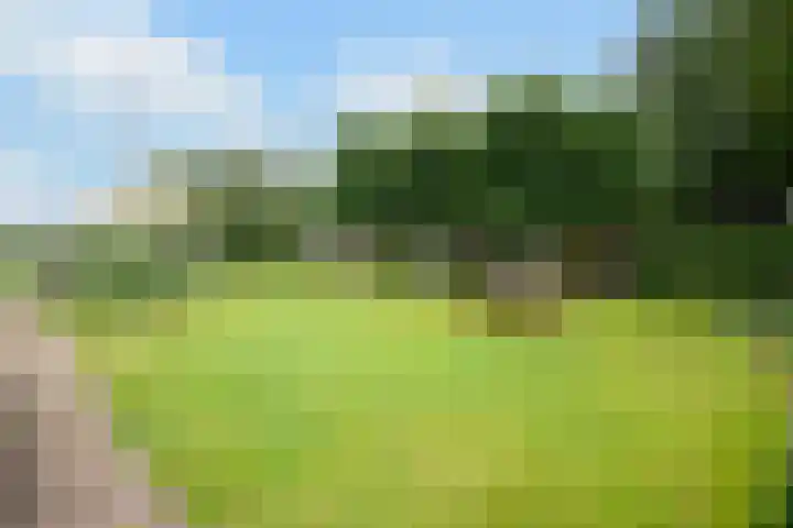 Donkervoorterweg 12 Barneveld thumbnail 64