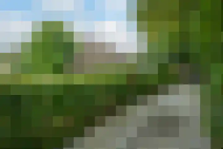 Donkervoorterweg 12 Barneveld thumbnail 65