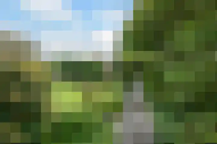 Donkervoorterweg 12 Barneveld thumbnail 66