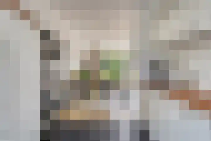 Donkervoortseloop 18 Heesch thumbnail 7