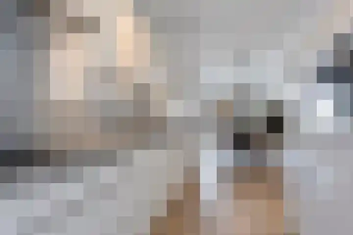 Donkervoortseloop 20 Heesch thumbnail 11