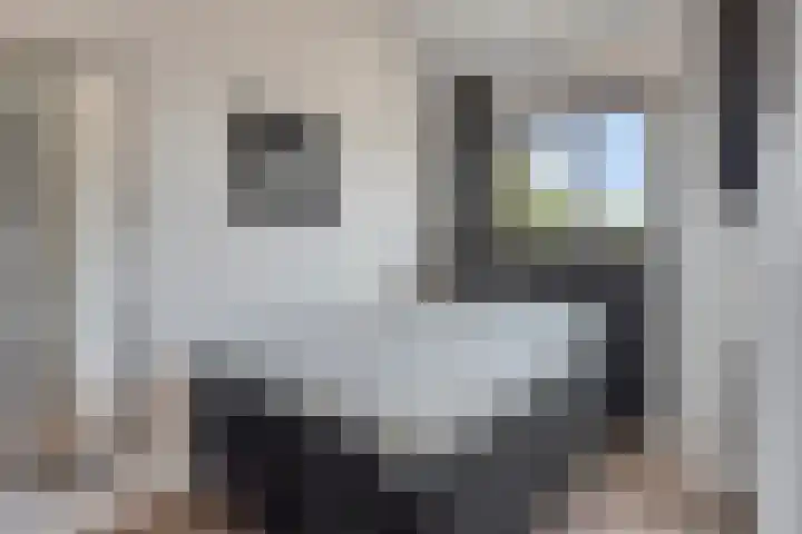 Donkervoortseloop 20 Heesch thumbnail 15