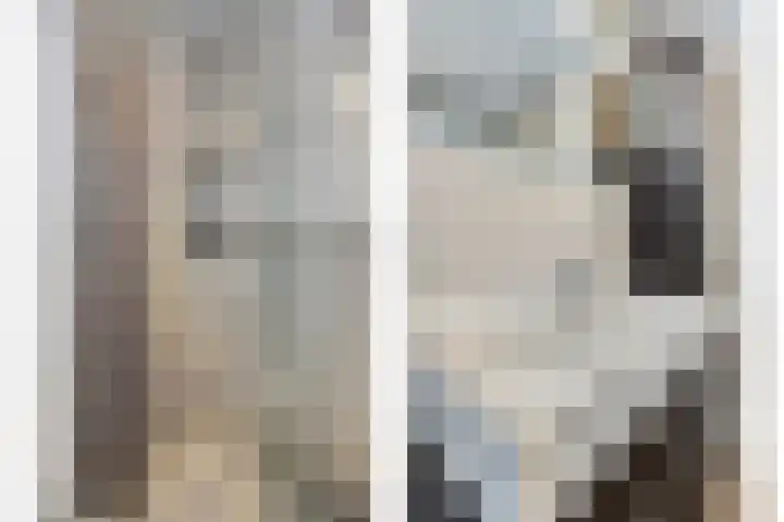 Donkervoortseloop 20 Heesch thumbnail 18