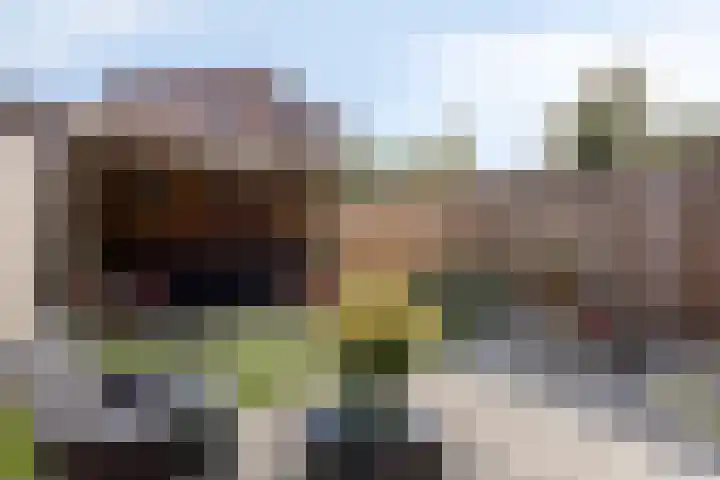 Donkervoortseloop 20 Heesch thumbnail 19