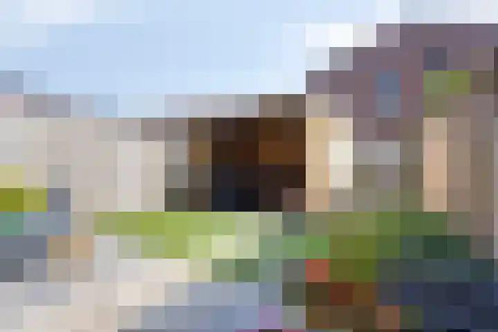 Donkervoortseloop 20 Heesch thumbnail 20