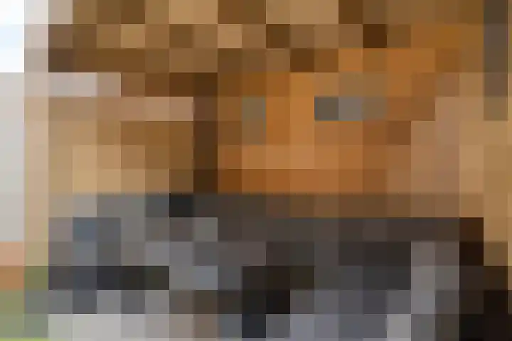 Donkervoortseloop 20 Heesch thumbnail 21