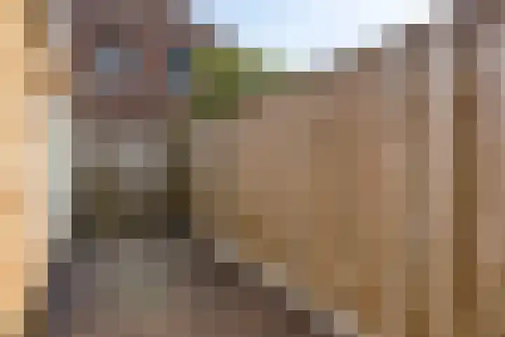 Donkervoortseloop 20 Heesch thumbnail 22