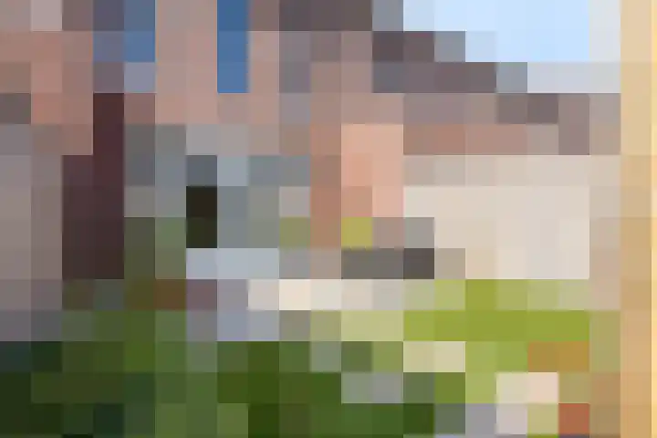 Donkervoortseloop 20 Heesch thumbnail 23