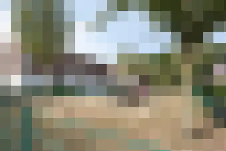 Donkervoortseloop 20 Heesch thumbnail 26