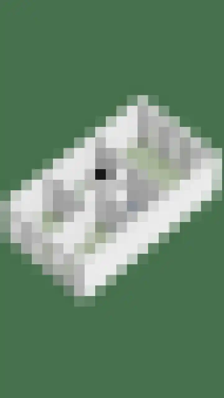 Donkervoortseloop 20 Heesch thumbnail 32