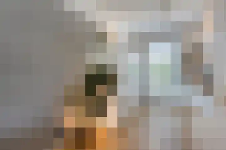 Donkervoortseloop 20 Heesch thumbnail 9