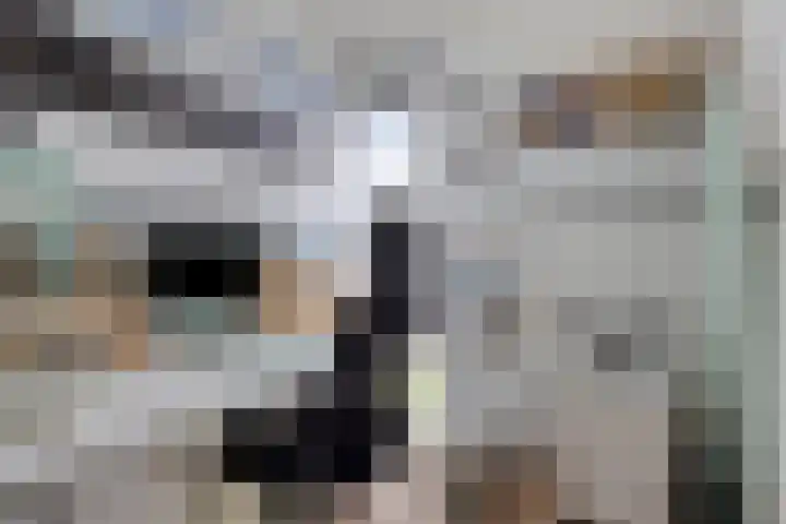 Donkervoortseloop 63 Heesch thumbnail 19