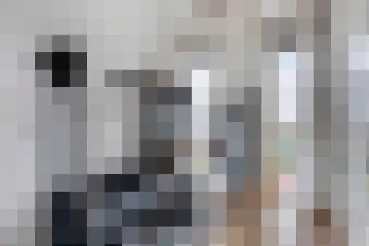 Donkervoortseloop 63 Heesch thumbnail 20