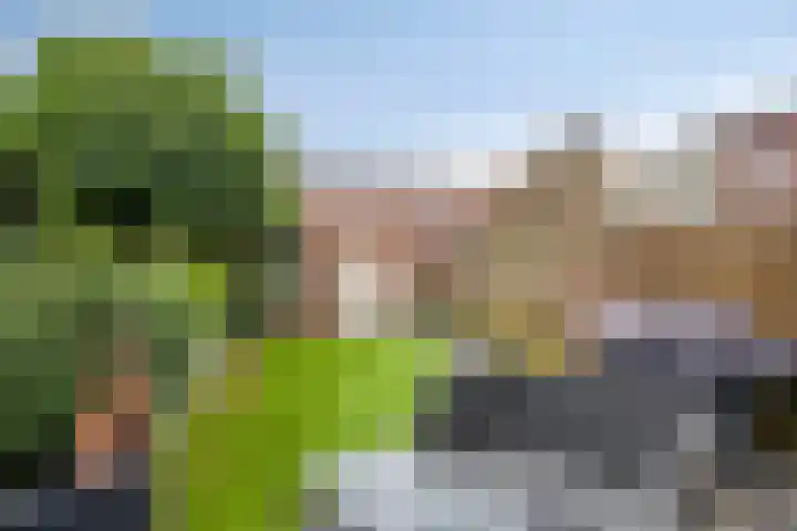 Donkervoortseloop 63 Heesch thumbnail 21