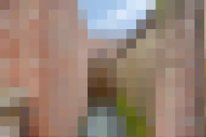 Donkervoortseloop 63 Heesch thumbnail 22