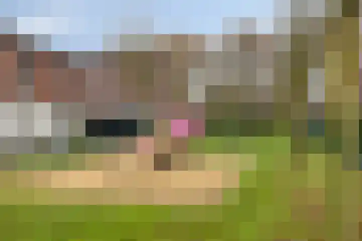 Donkervoortseloop 63 Heesch thumbnail 24