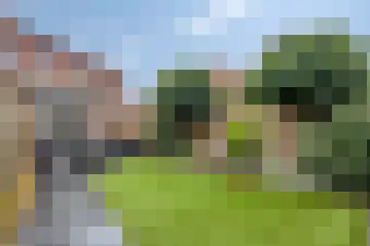 Donkervoortseloop 63 Heesch thumbnail 25