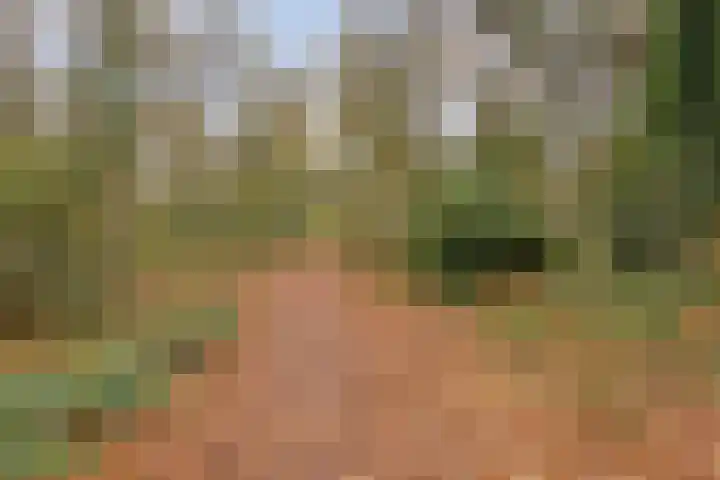 Donkervoortseloop 63 Heesch thumbnail 26