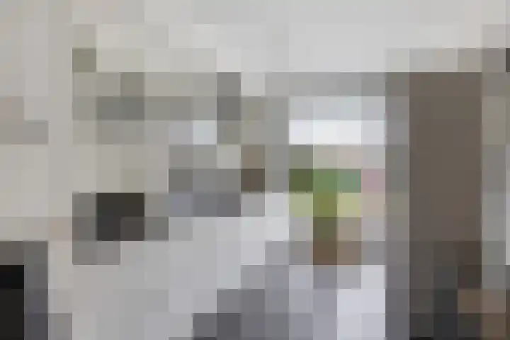Donkervoortseloop 63 Heesch thumbnail 4