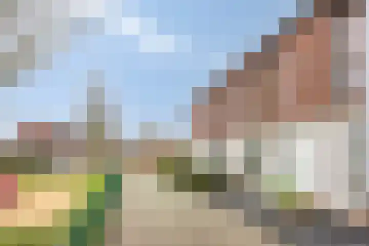 Donkervoortseloop 63 Heesch thumbnail 5