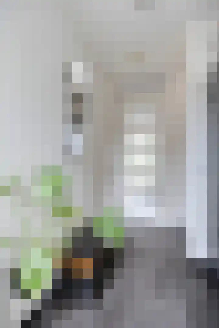 Donkervoortseloop 63 Heesch thumbnail 6
