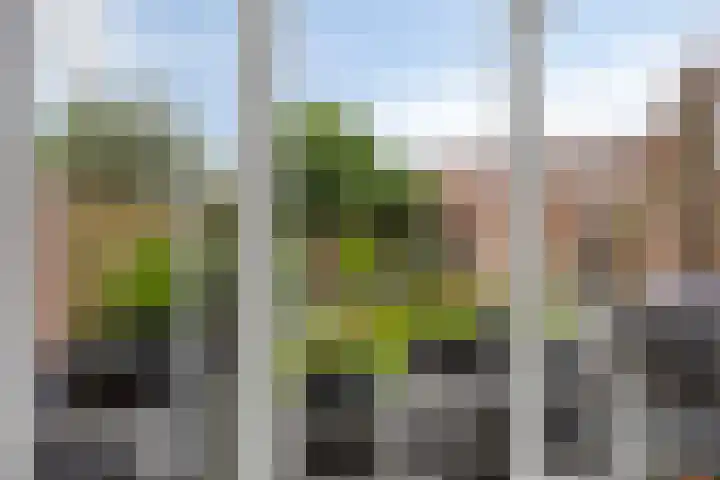 Donkervoortseloop 63 Heesch thumbnail 9