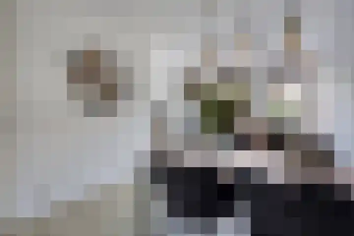 Donkervoortseloop 9 Heesch thumbnail 14