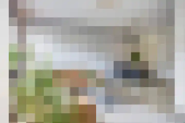 Donkervoortseloop 9 Heesch thumbnail 15