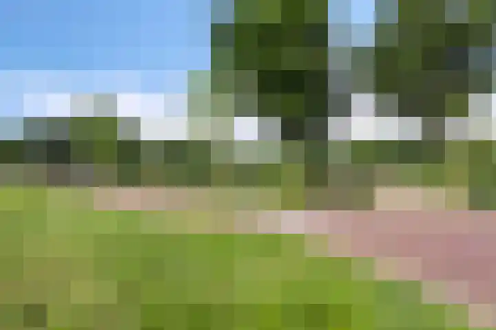 Donkervoortseloop 9 Heesch thumbnail 34
