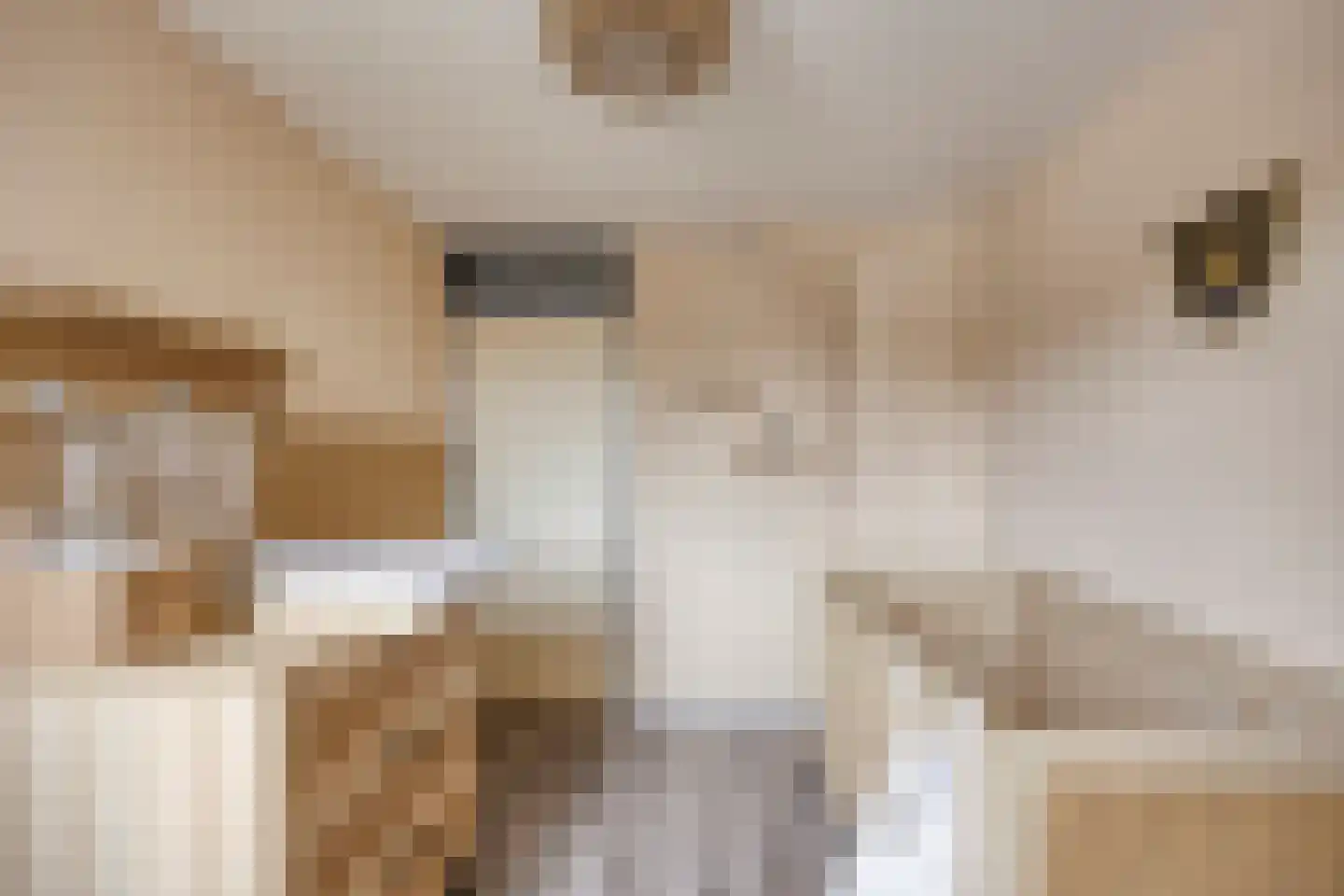 Donkesven 43 Tegelen thumbnail 14