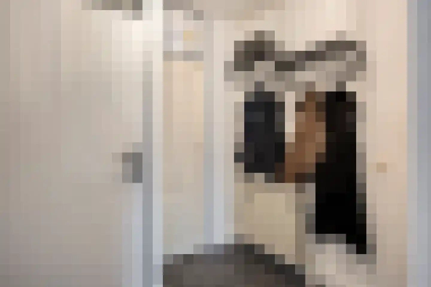 Donkesven 43 Tegelen thumbnail 20