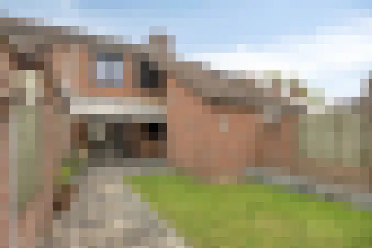 Donkesven 43 Tegelen thumbnail 25