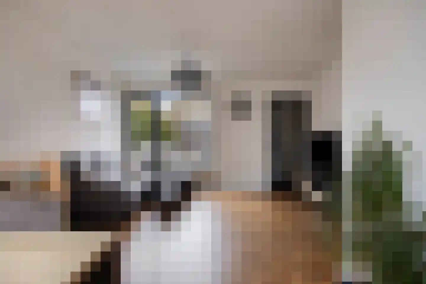 Donkesven 43 Tegelen thumbnail 4
