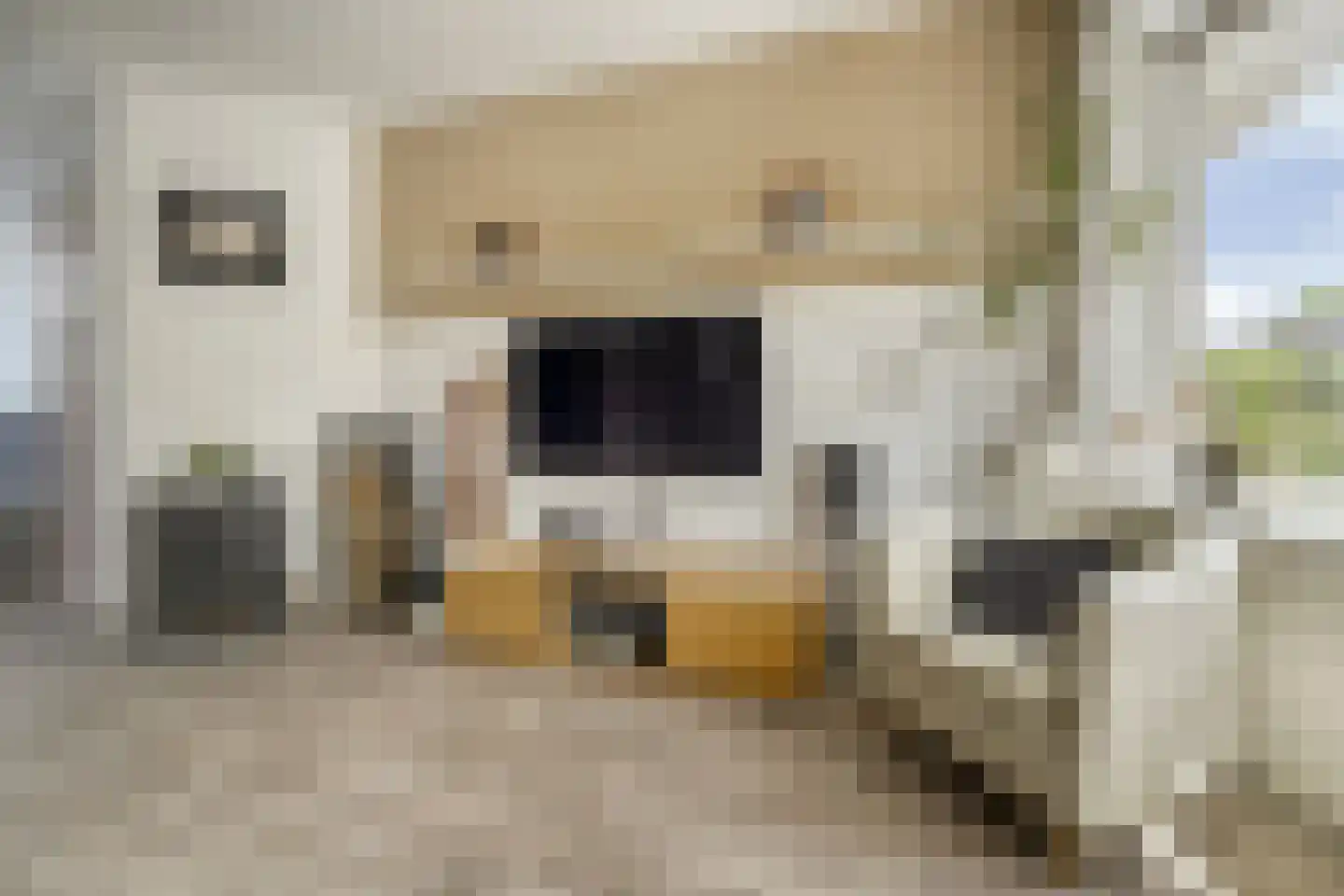 Donklaan 13 Voorschoten thumbnail 12