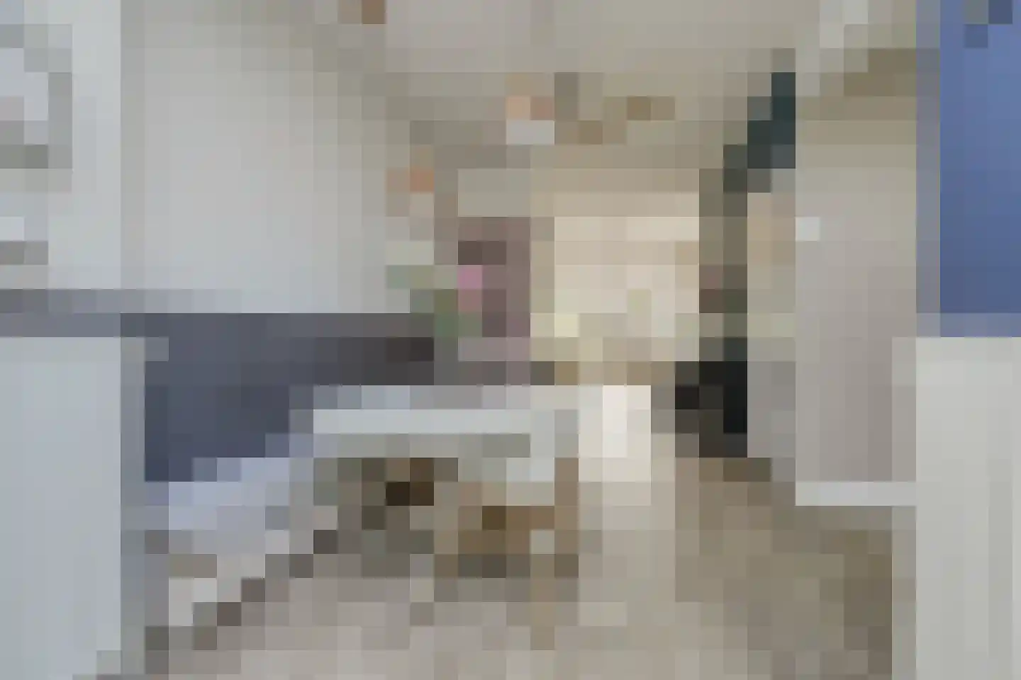 Donklaan 13 Voorschoten thumbnail 14