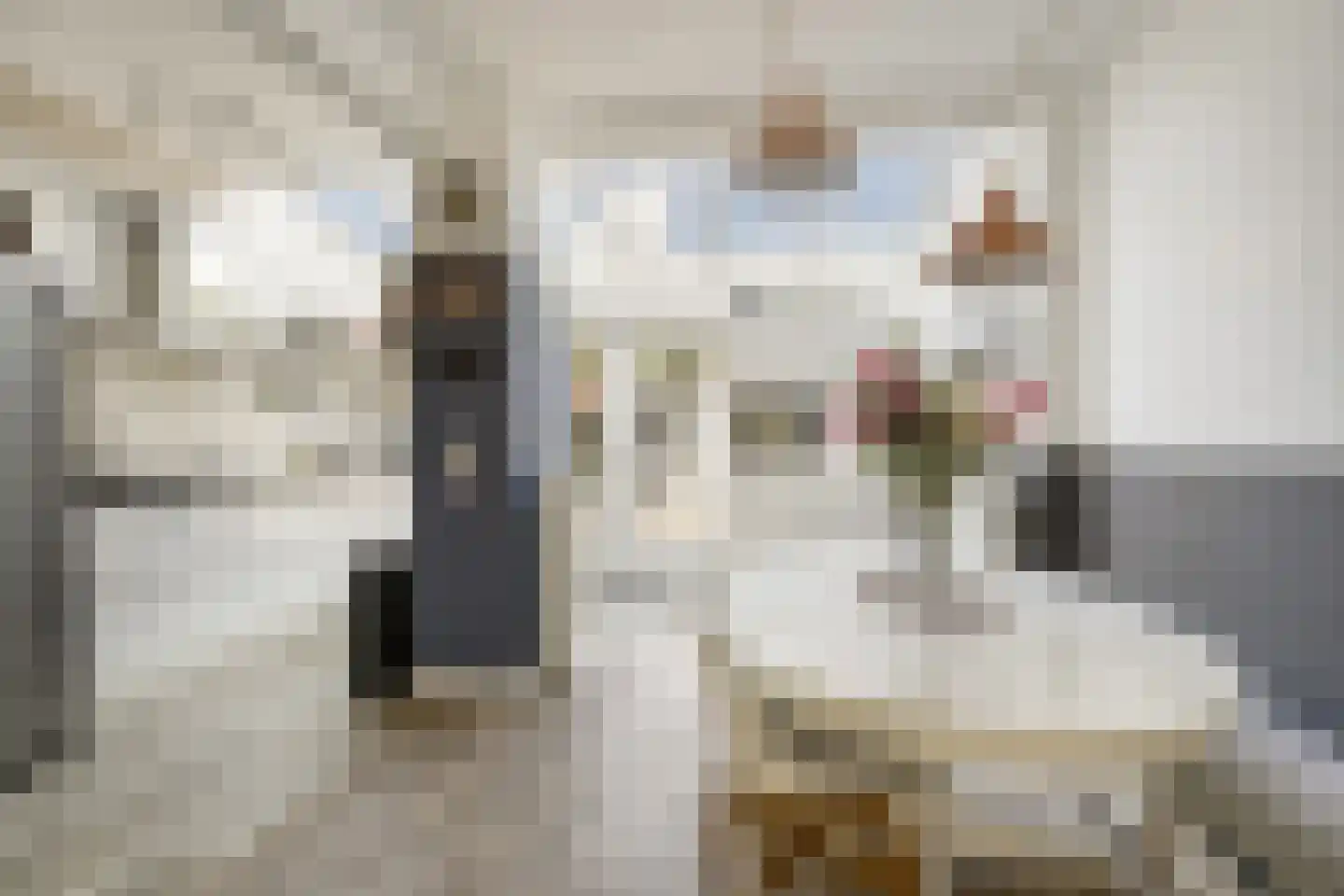 Donklaan 13 Voorschoten thumbnail 17