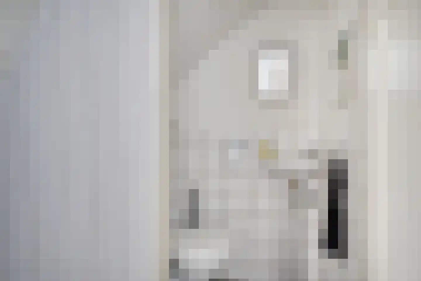 Donklaan 13 Voorschoten thumbnail 7