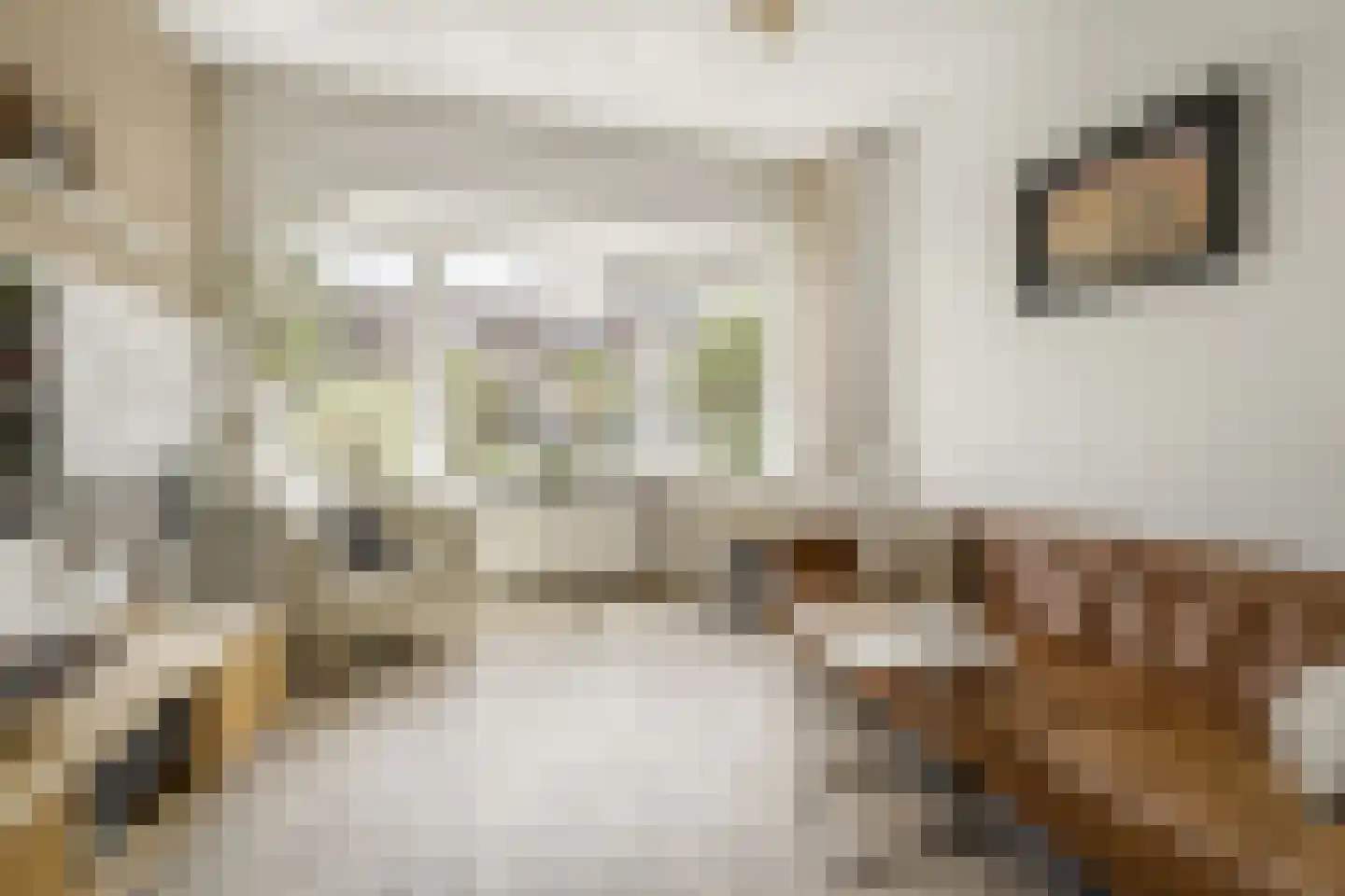 Donklaan 13 Voorschoten thumbnail 8