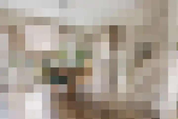 Donklaan 30 Voorschoten thumbnail 12