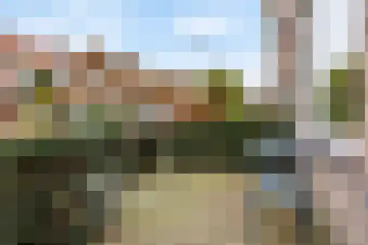 Donklaan 30 Voorschoten thumbnail 4