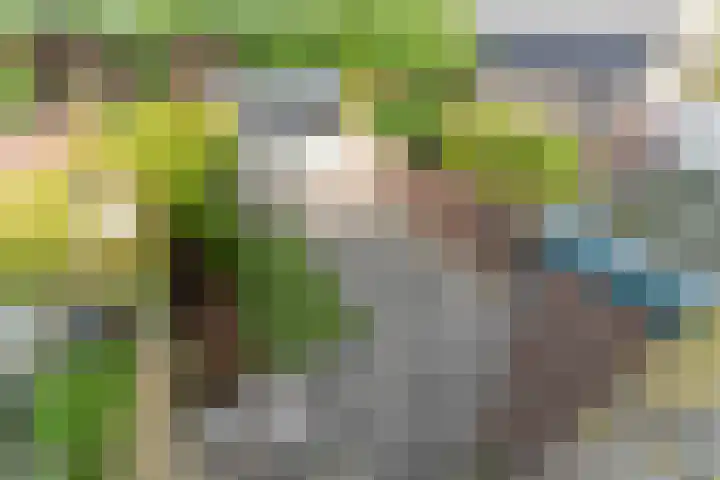 Donklaan 31 Voorschoten thumbnail 16