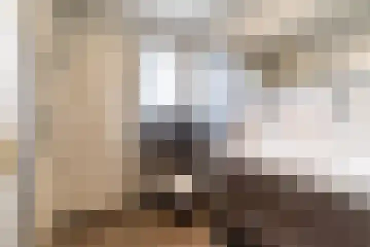 Donklaan 31 Voorschoten thumbnail 17