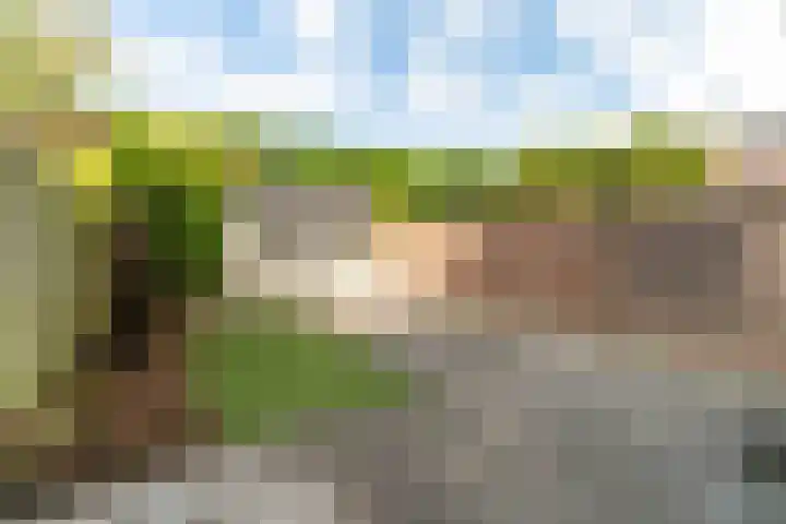 Donklaan 31 Voorschoten thumbnail 9