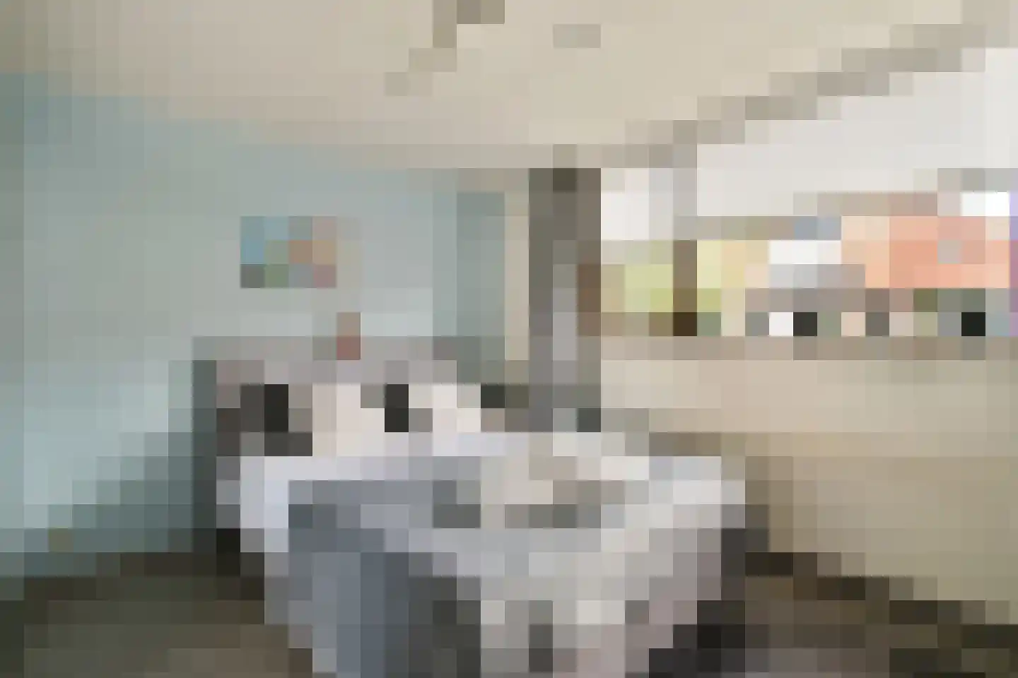 Donklaan 56 Voorschoten thumbnail 16