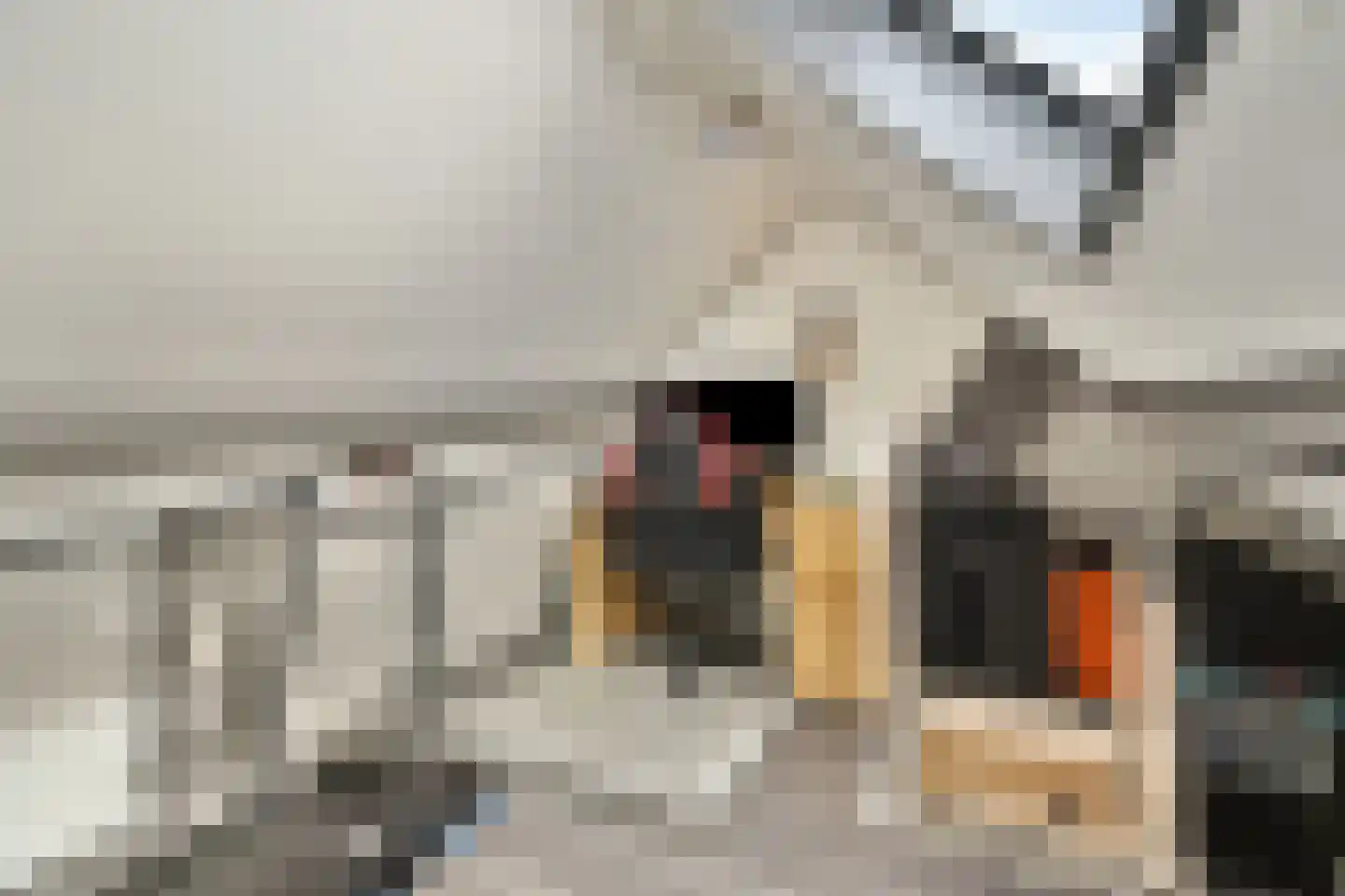 Donklaan 56 Voorschoten thumbnail 23