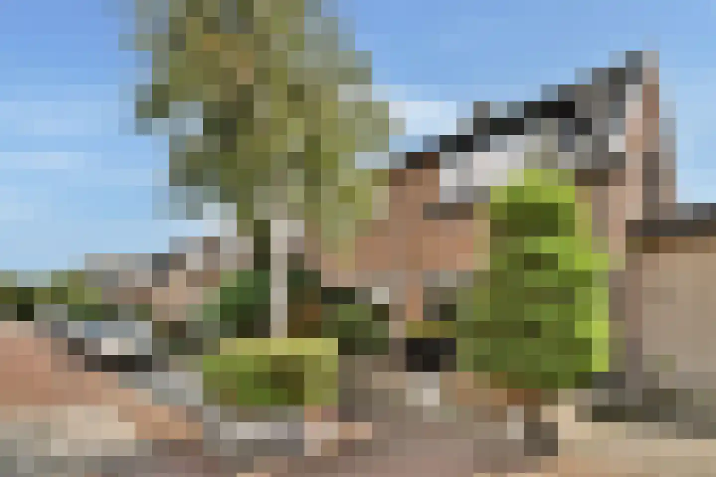 Donklaan 56 Voorschoten thumbnail 24