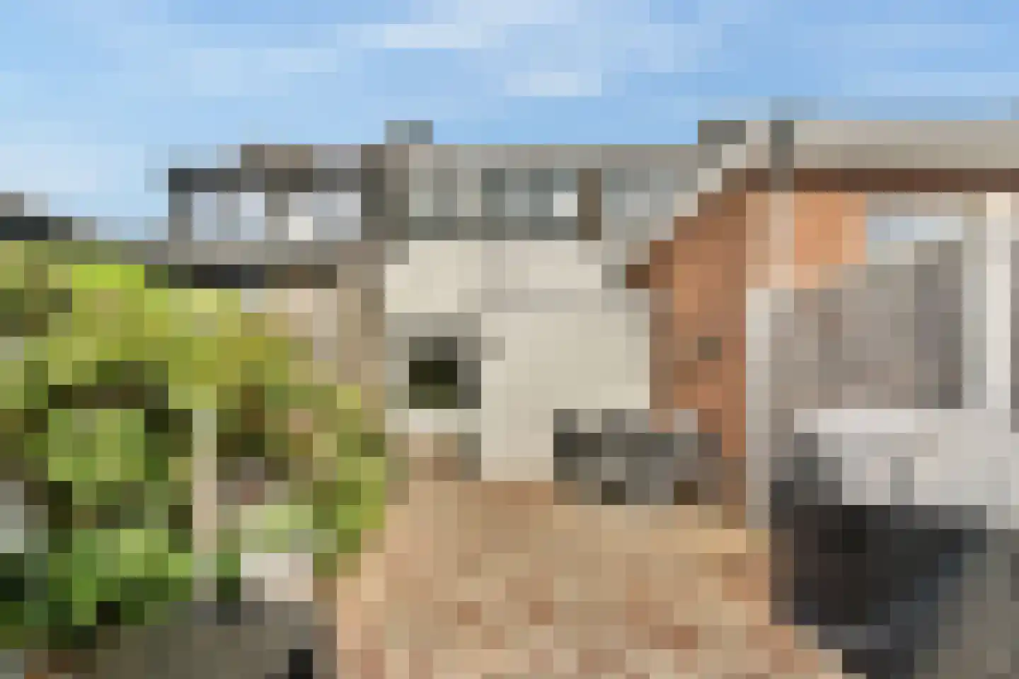 Donklaan 56 Voorschoten thumbnail 4