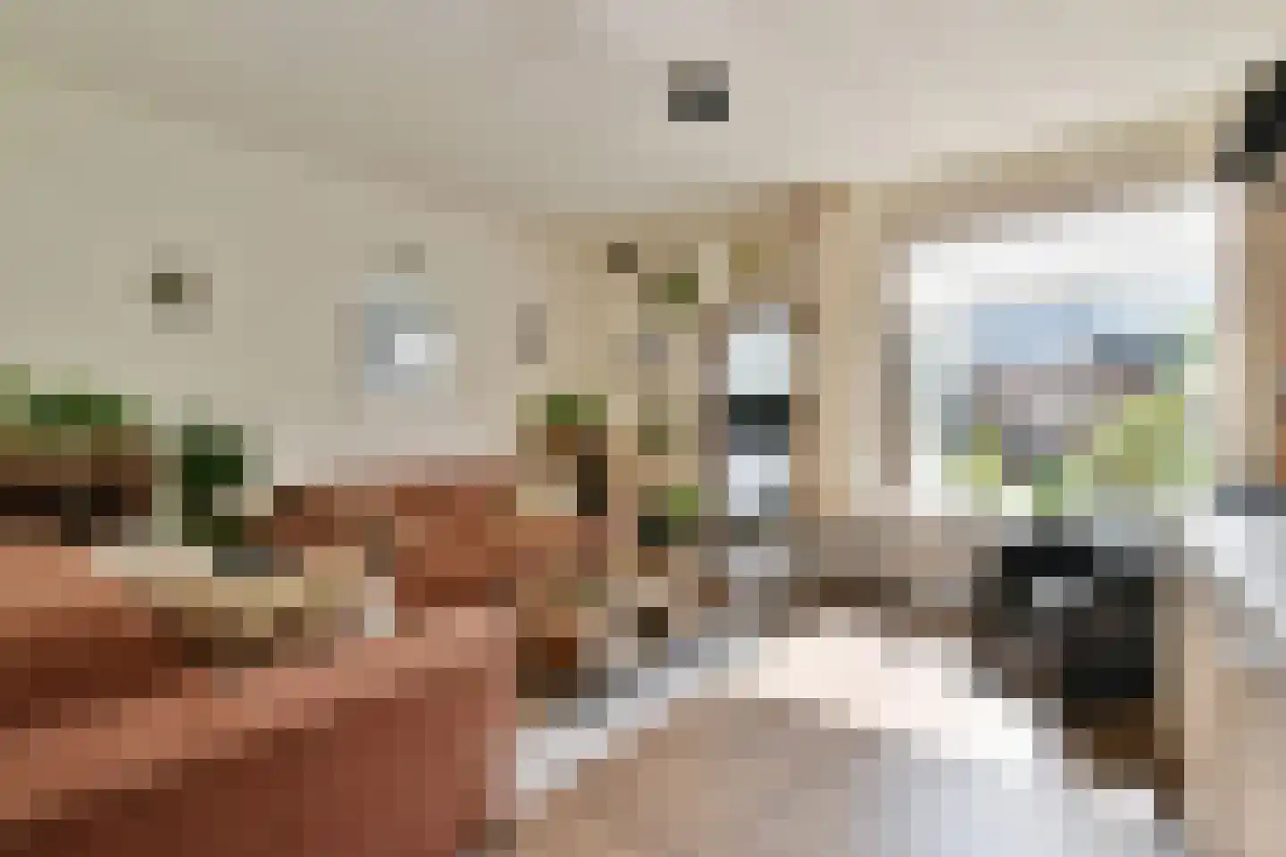 Donklaan 56 Voorschoten thumbnail 7