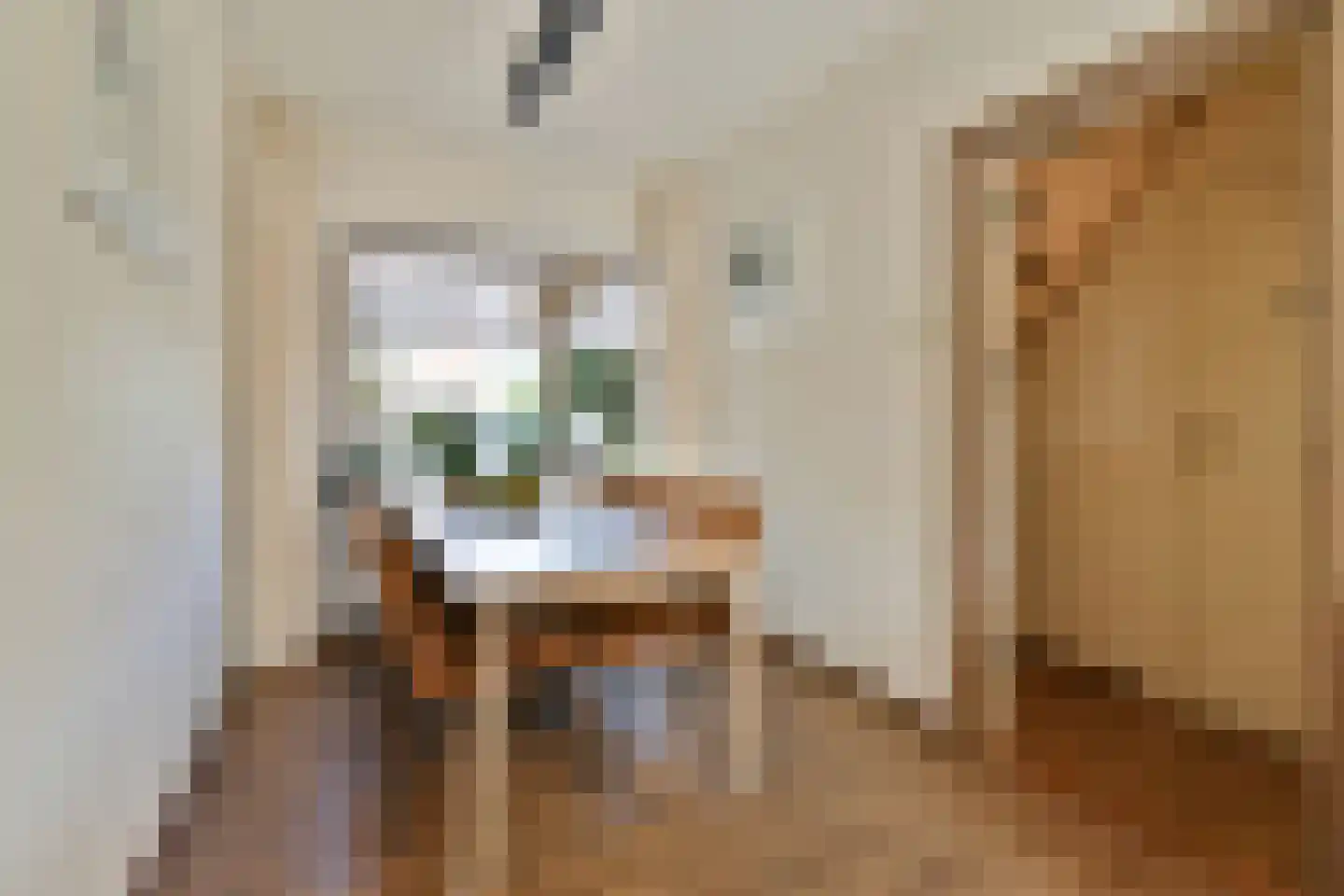 Donklaan 56 Voorschoten thumbnail 8