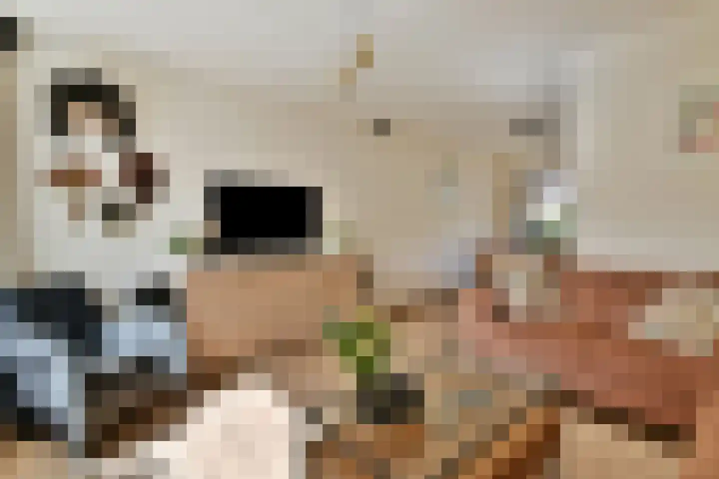 Donklaan 56 Voorschoten thumbnail 9